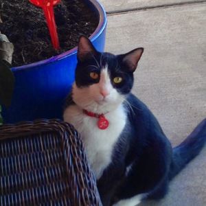 Meet your Posher, Jeanne